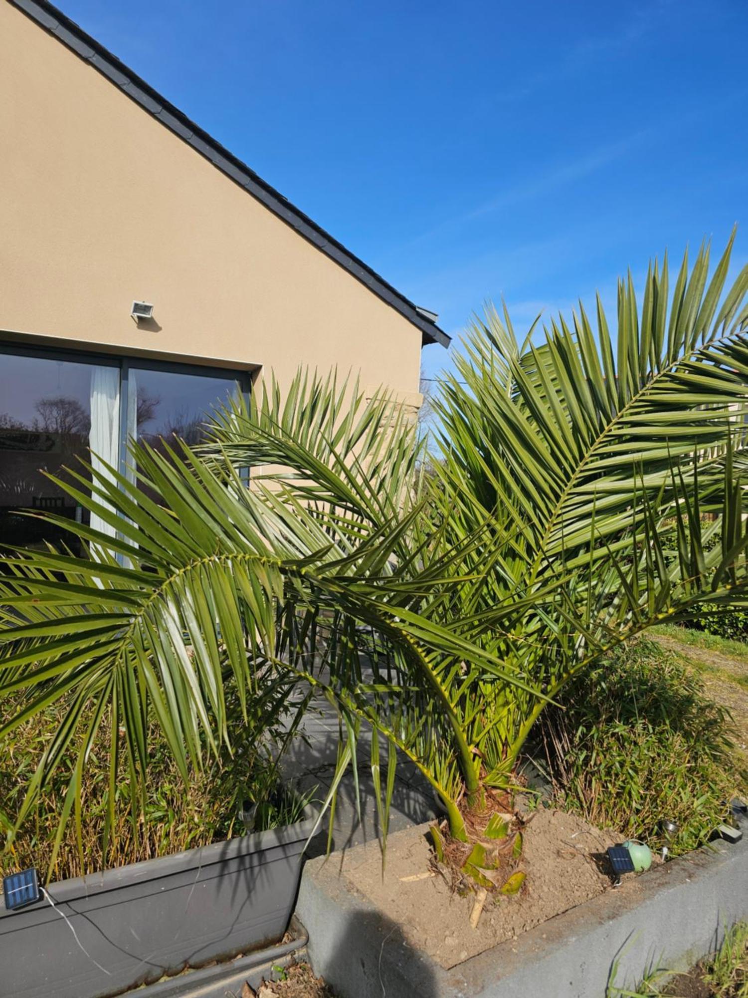 Gite Camaloth - Closeries Du Golfe Theix Exterior foto